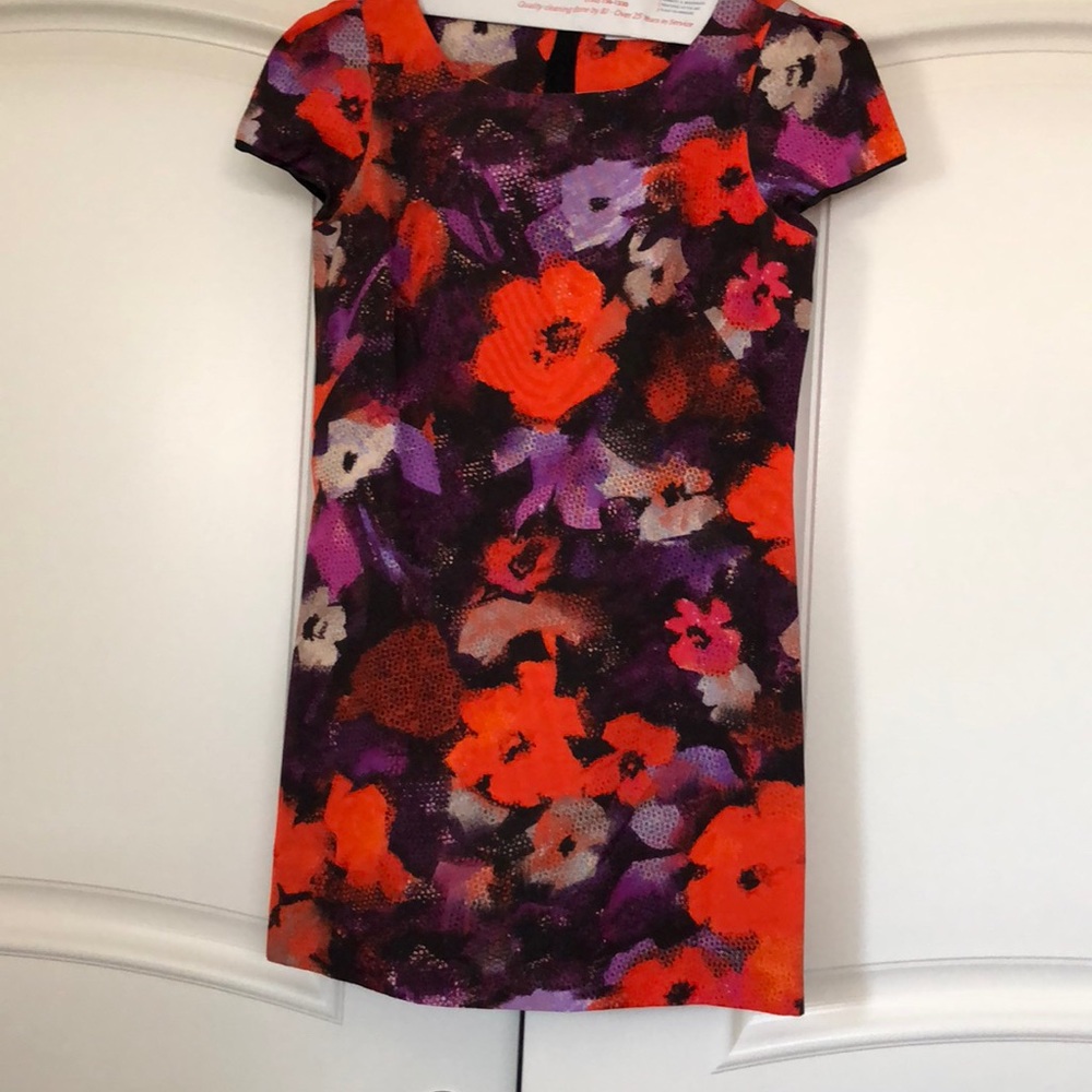 milly dress